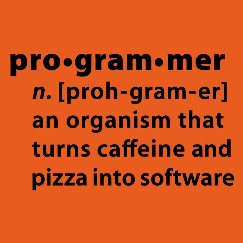 Programmer dictionary definition