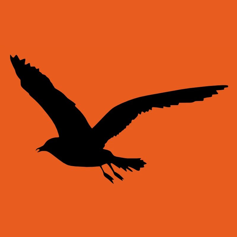 Möwe