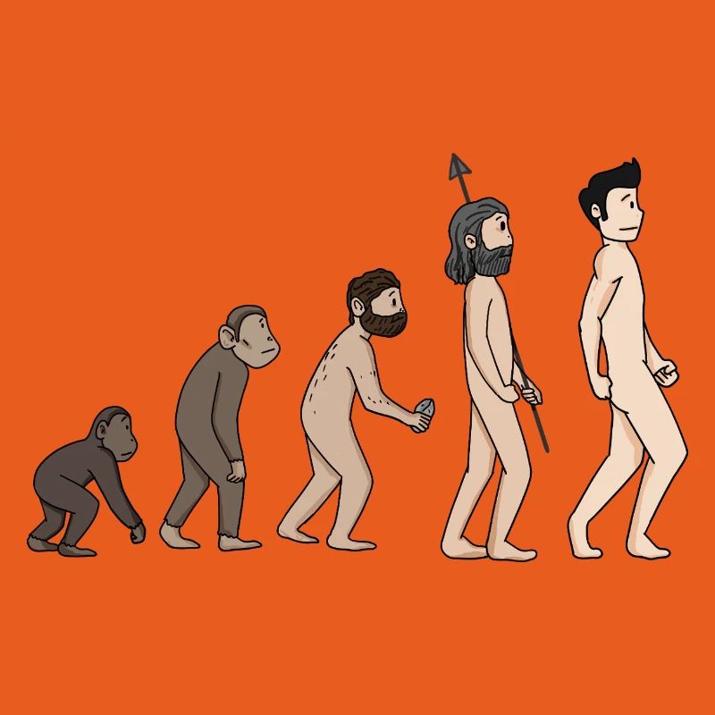 Human Development - Evolution Illustration