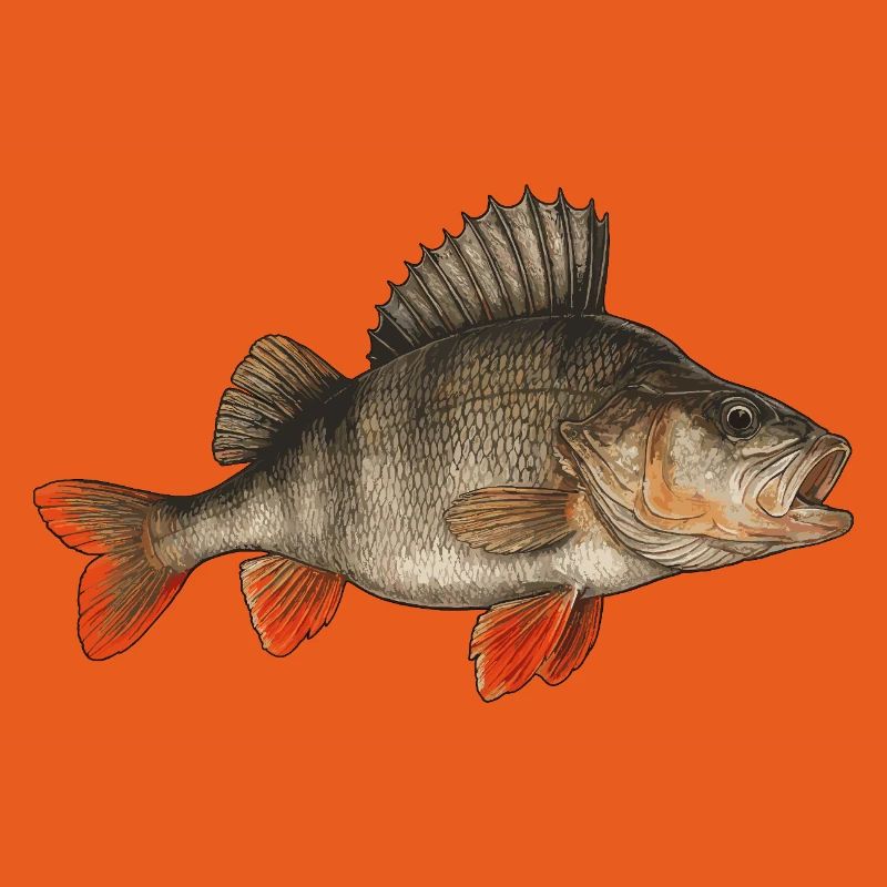 Perche Perche Perche Perche Perche Pêche Perche Perche
