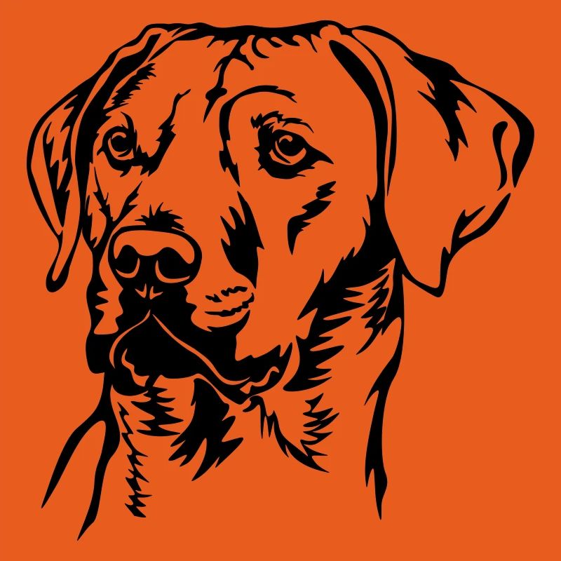 Rhodesian Ridgeback head