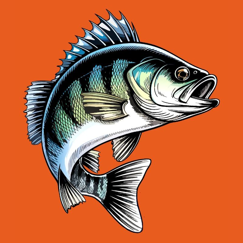 Jumping Perch Dynamic Fish Illustration