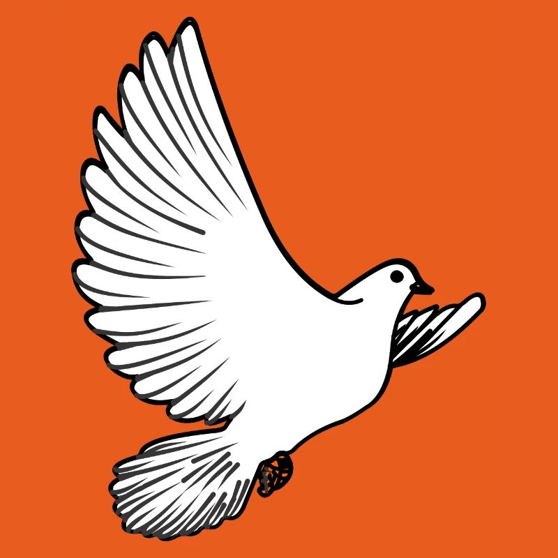 Weiße Taubenbrieftaube Ziertaube oder Friedenstaube