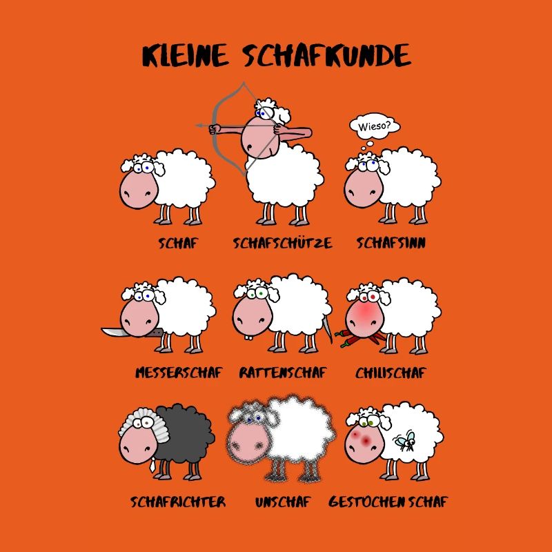 A little sheep knowledge