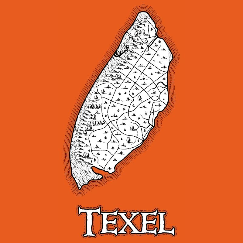 Texel | Antique map | Treasure map