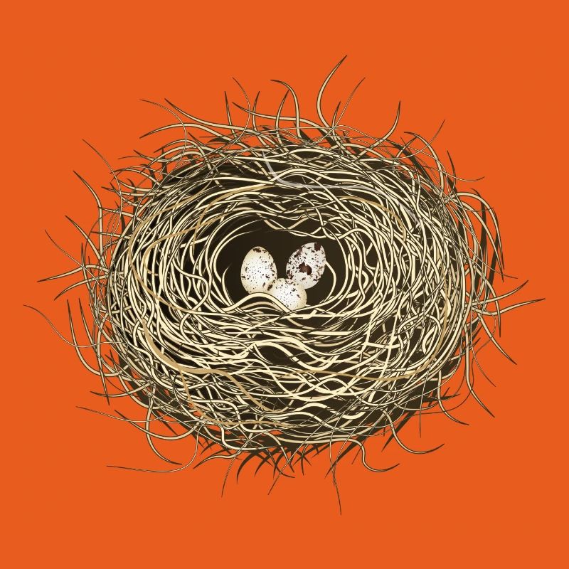 Vogelnest oder Osternest mit drei Vogel Eier