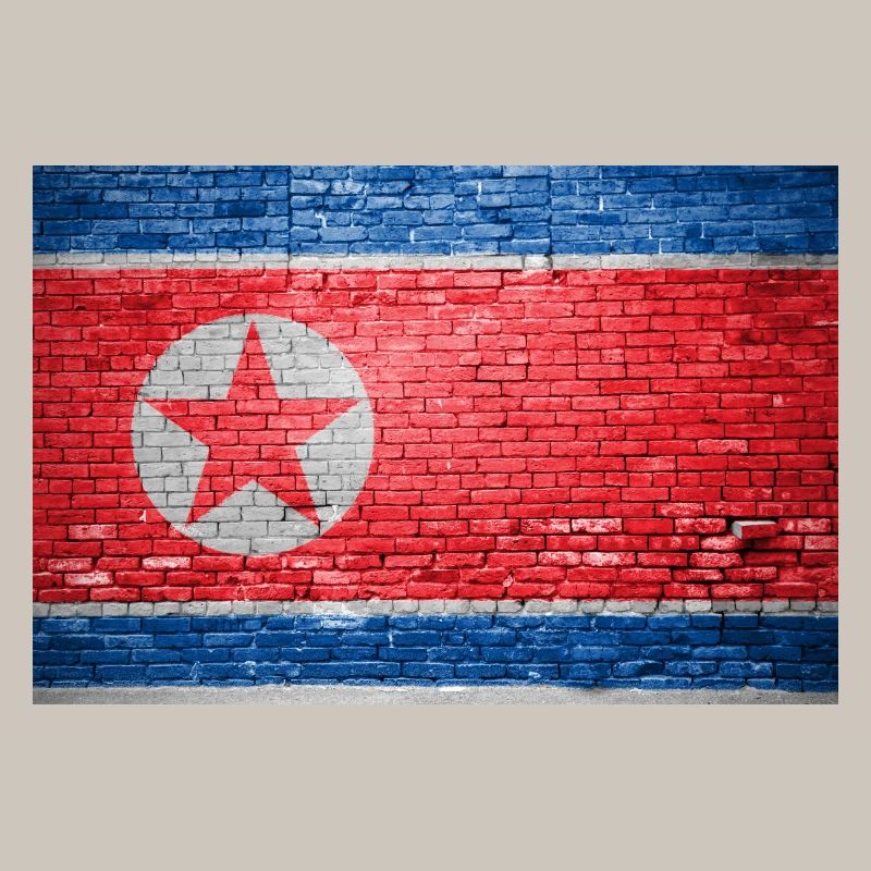 Drapeau de la Corée du Nord Graffiti sur mur de briques