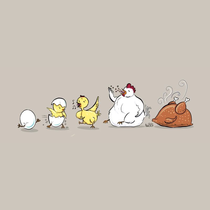 Évolution du poulet