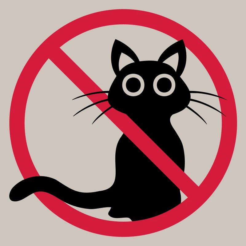 Chat noir interdit