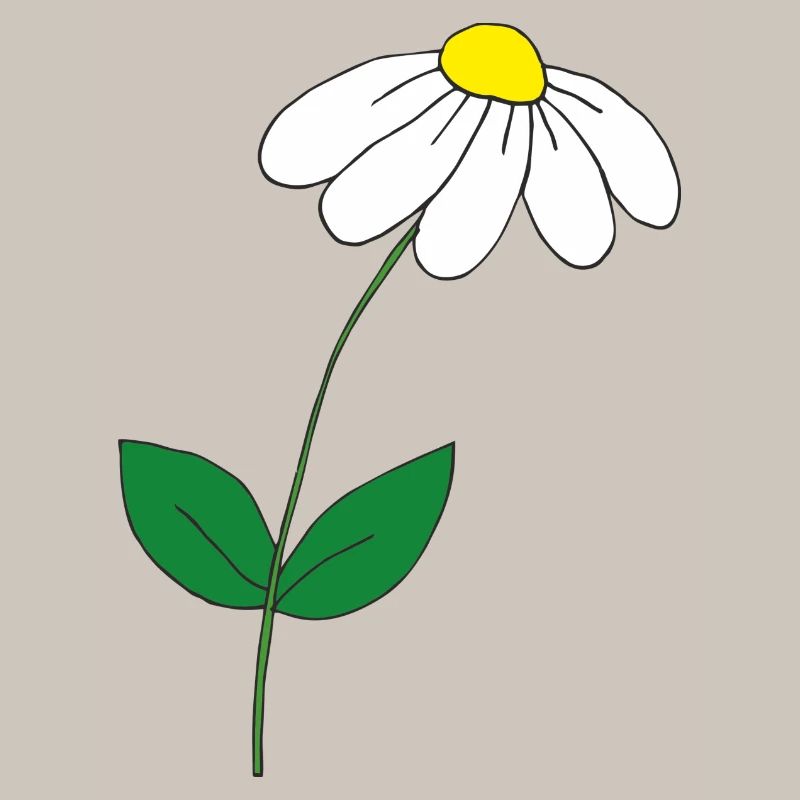 süsses Gänseblümchen