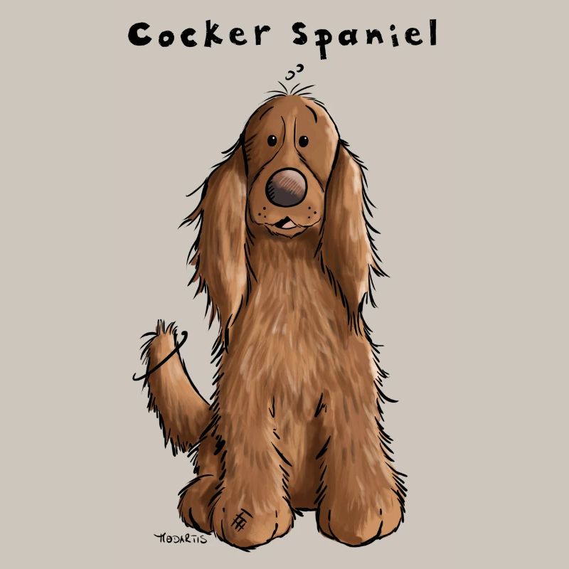Der Cocker Spaniel