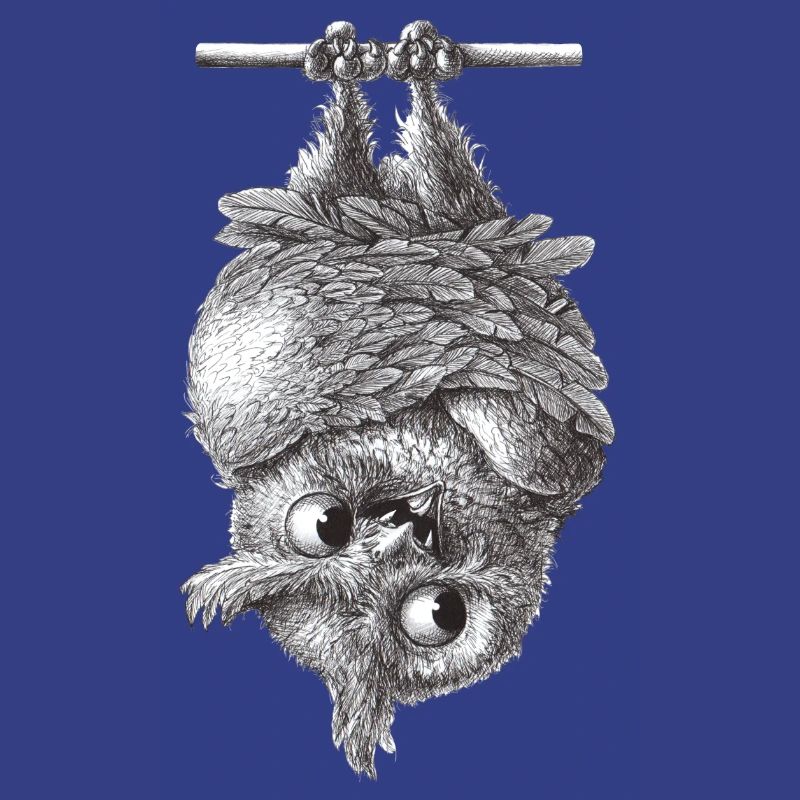 Vampir Eule - Dracula Eule