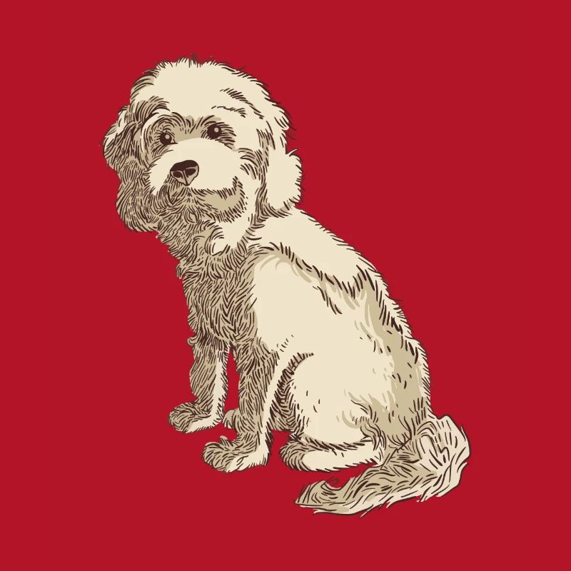 Dessin de chien cockapoo d'un cockapoo