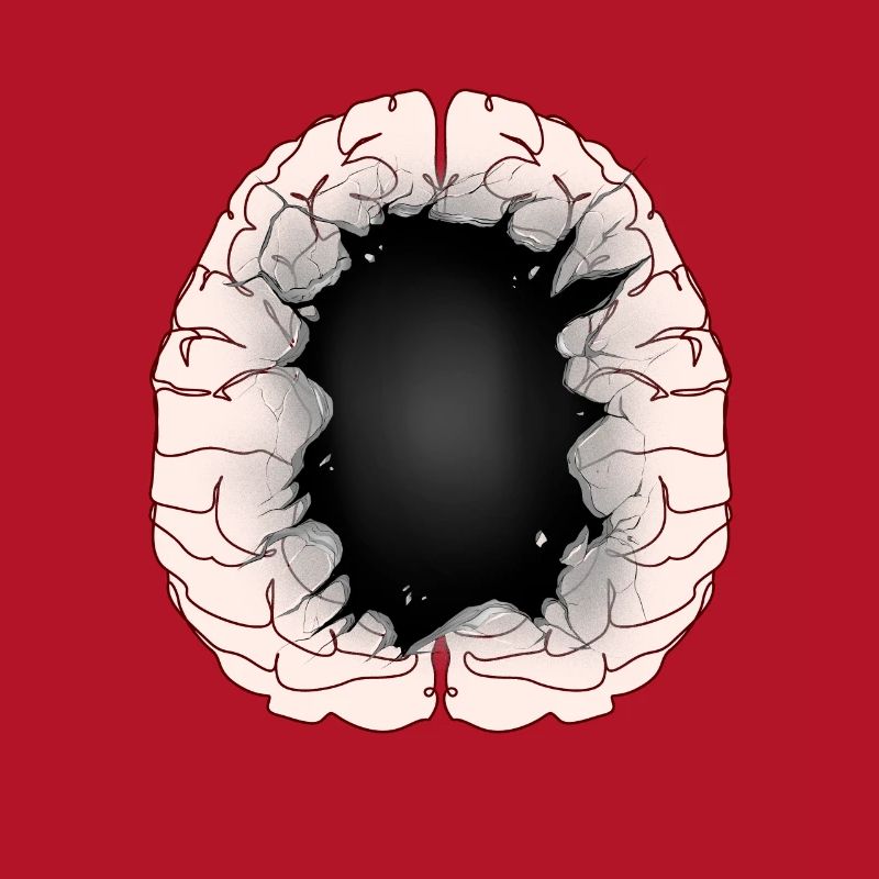 Brain Idiot Idiot Brain Brains Intelligence