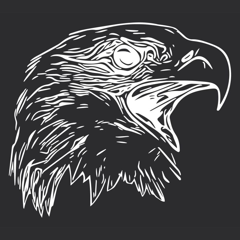 Adler Kopf - Königlicher Vector Greifvogel