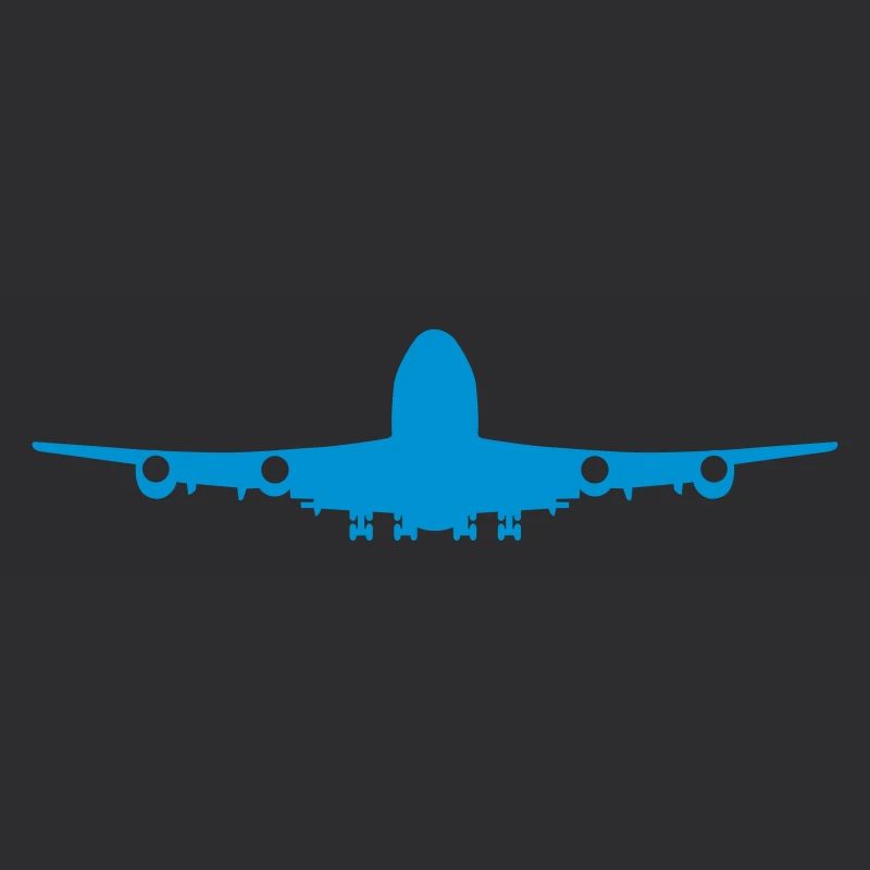 Flugzeug