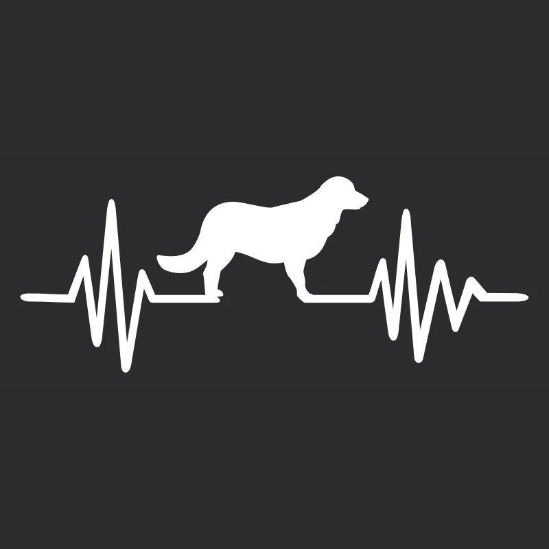 Flat Coated Retriever