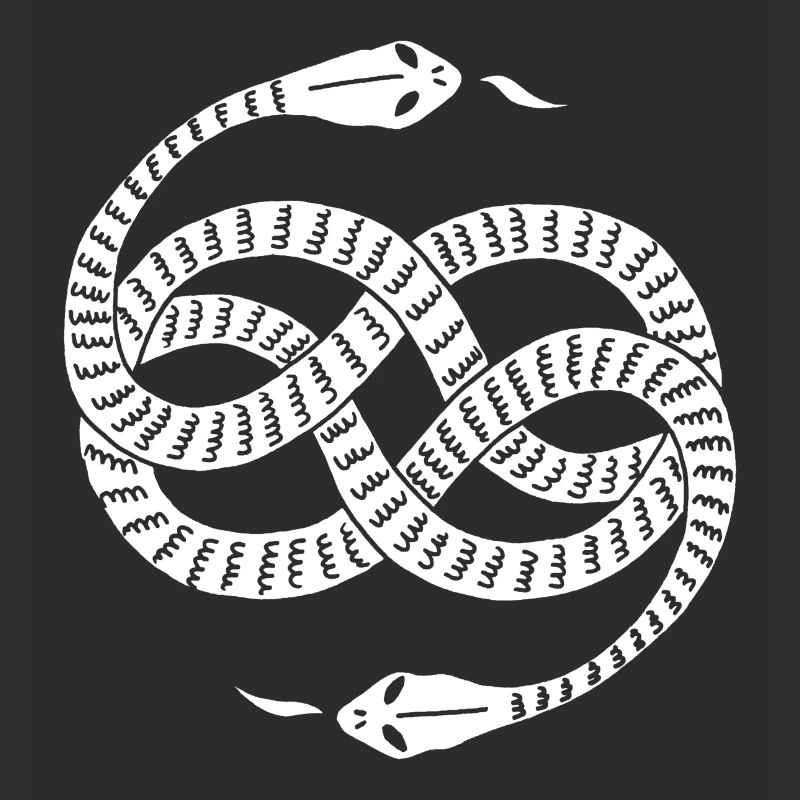 Infinite White Snakes