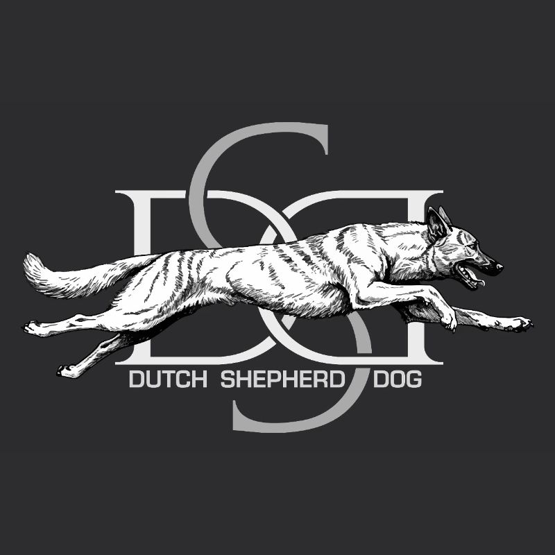 Dutchie - Holländischer Schäferhund