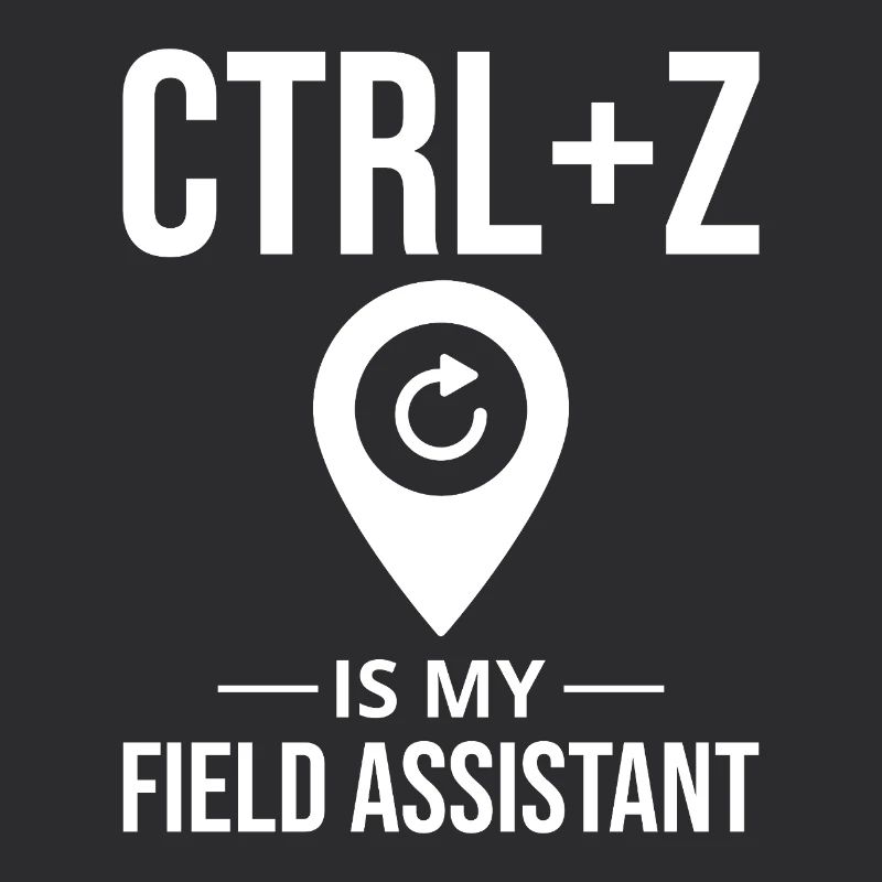 CTRL+Z Field Assistant Modification des données SIG Annuler