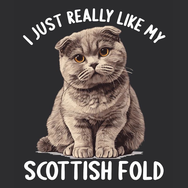 Scottish Fold Kitten Scottish Fold chat