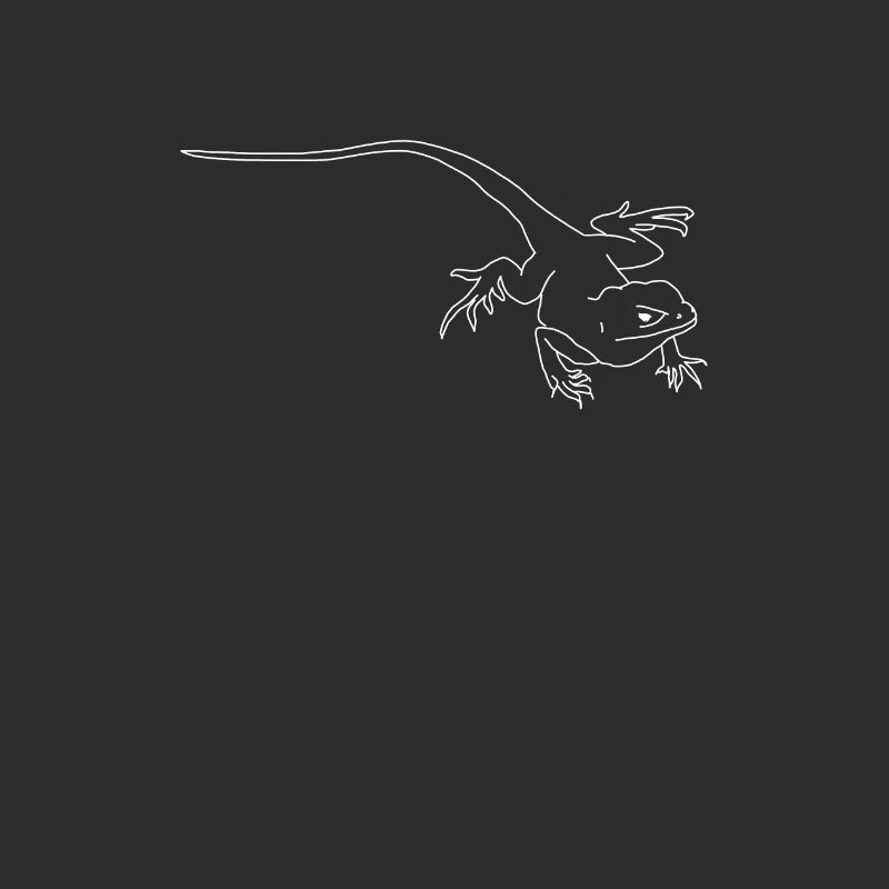 lizard