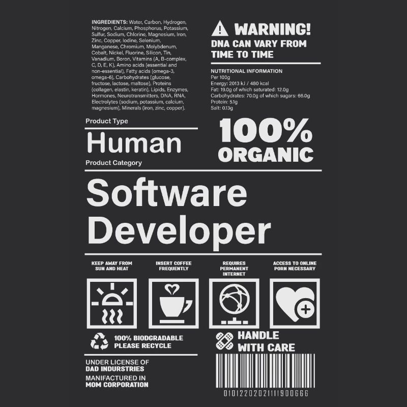 Software Developer