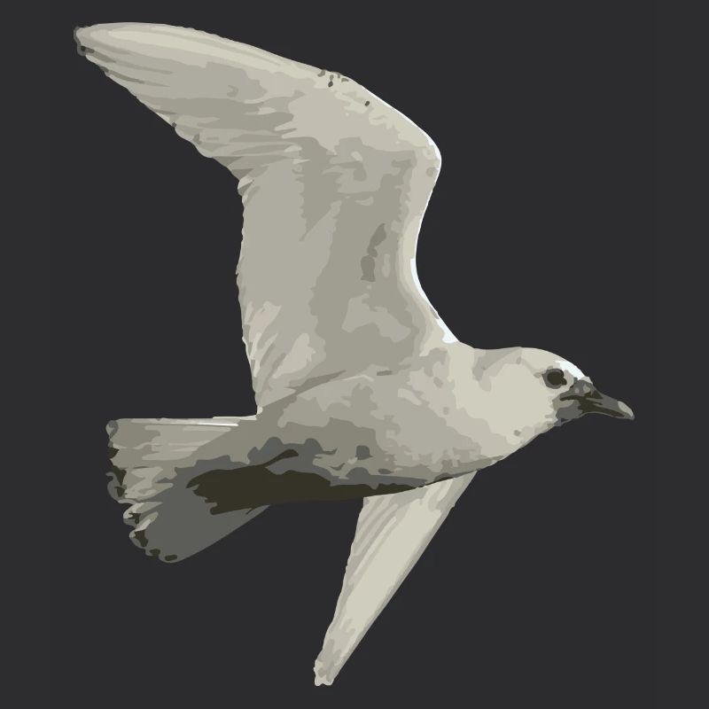 Vogel