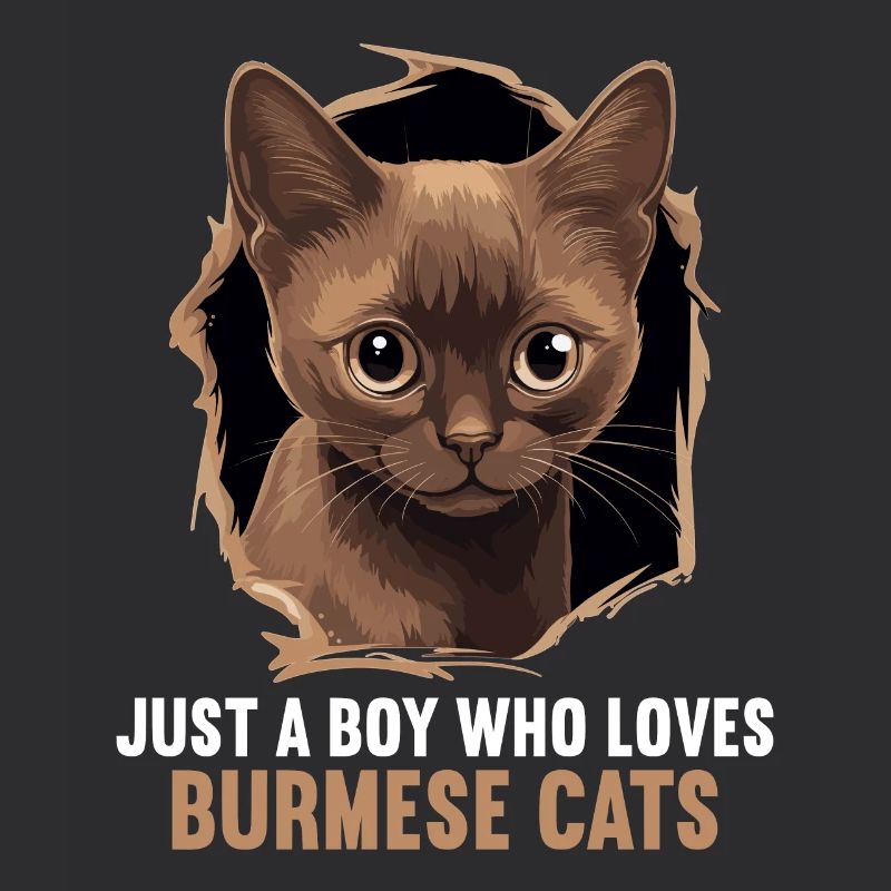 Birmese Kat Birma Katze