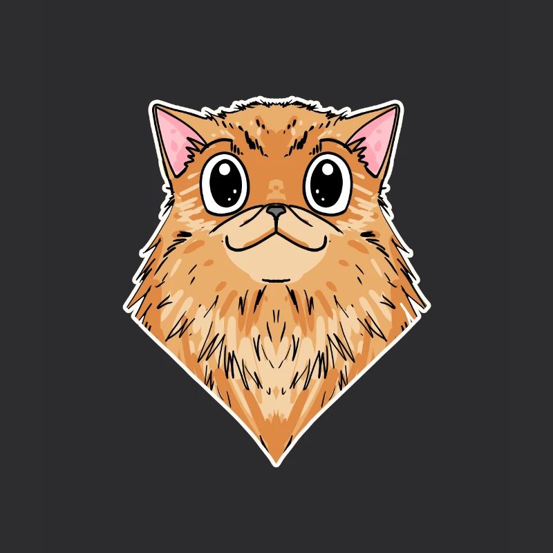 Chat persan Race de chat Chat
