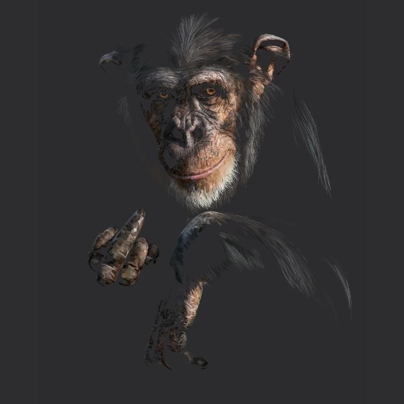 Chimpanzé