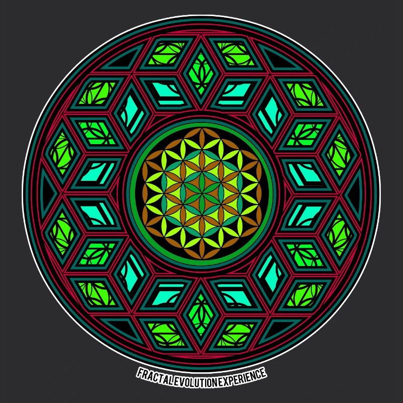 Fractal Evolution Kaleidoscope Mandala Pattern Yoga