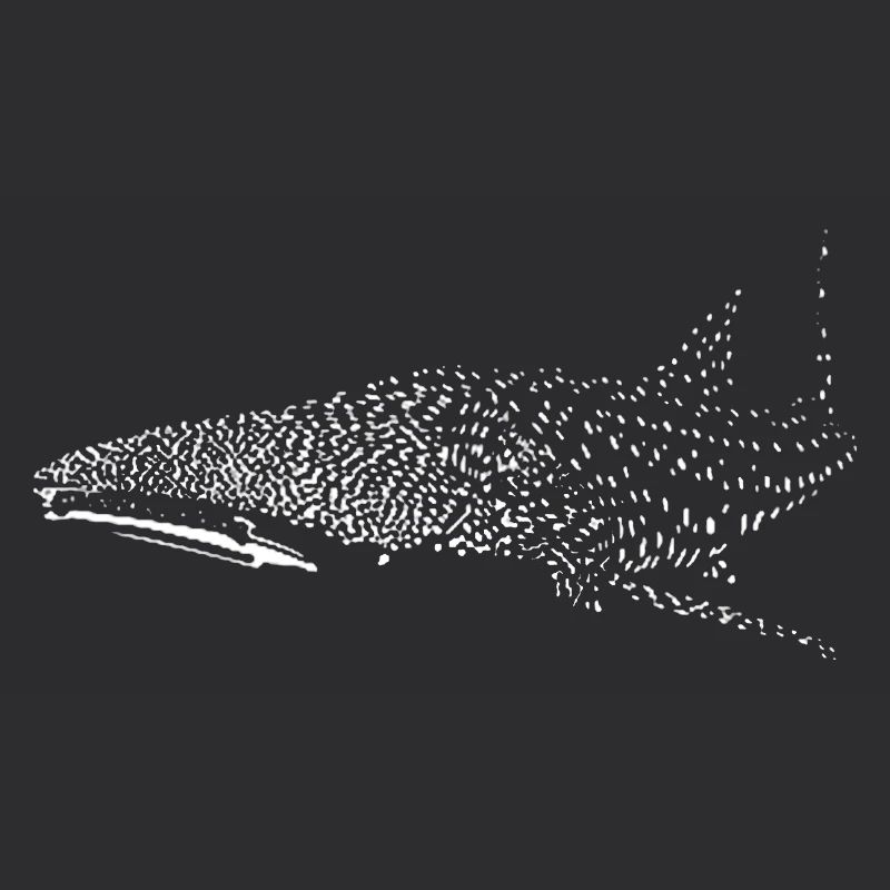 Requin-baleine