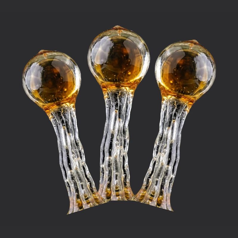 Harz Trichome