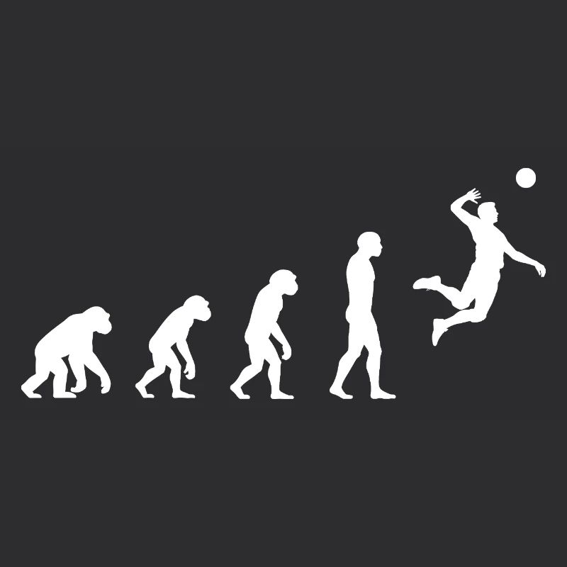 Evolution volleyball 