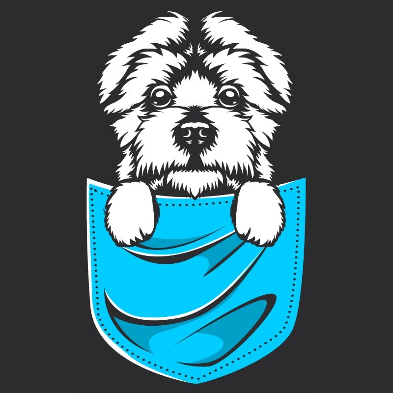 Maltese