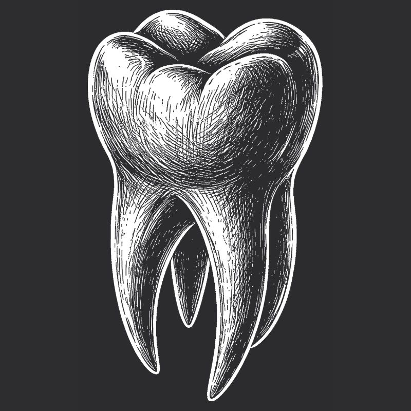 Black and White Tooth Sketch Graphic