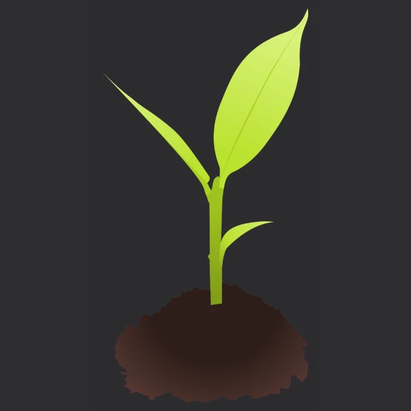 Sprout illustration