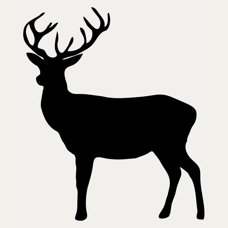 cerfs - bois de cervidé - la chasse - chasseur