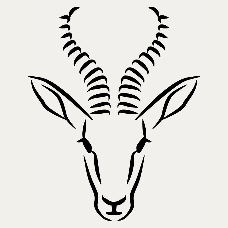 Springbok