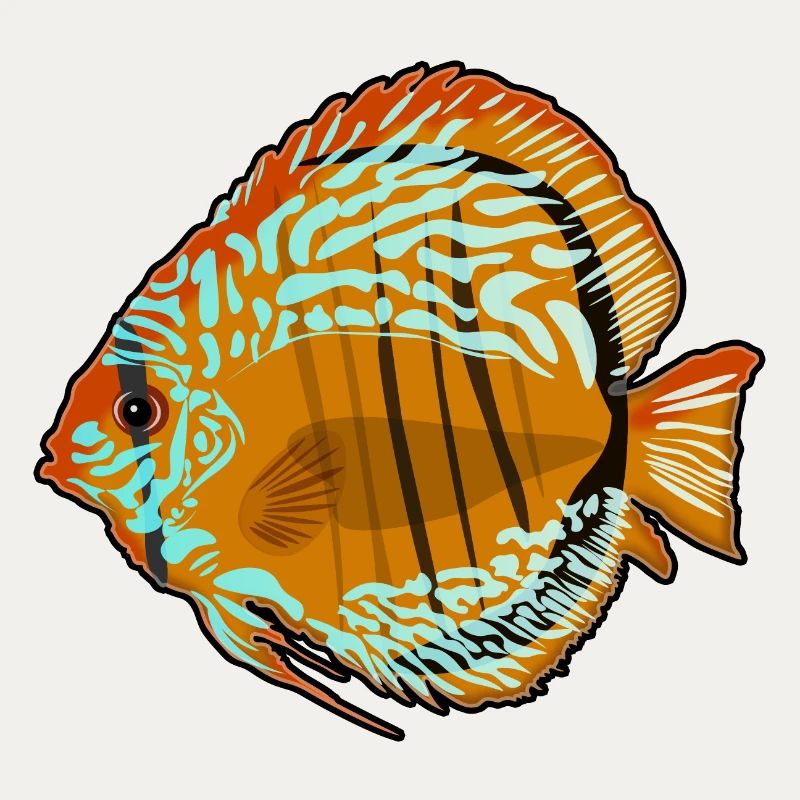 Discus Fish Aquarium Drawing