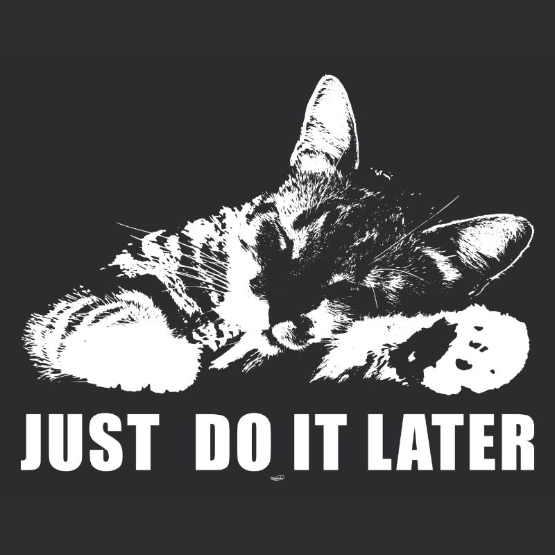 Just Do It Later Funny Parody Meme Cat