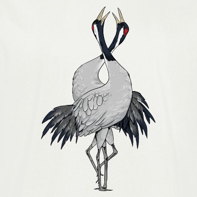 Birdingplaces Grues cendrées