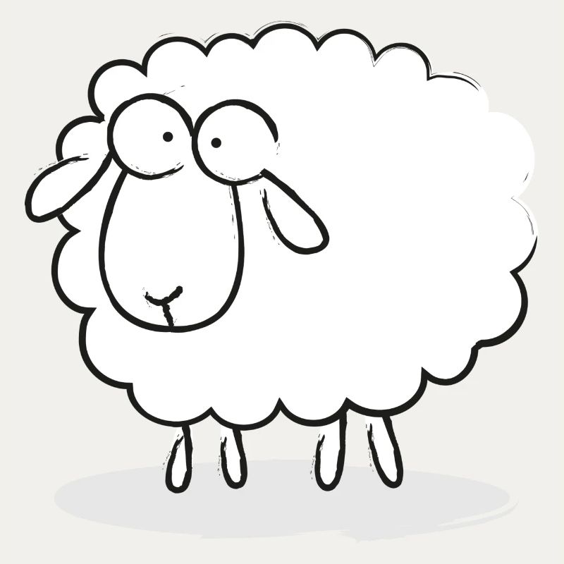 Sheep