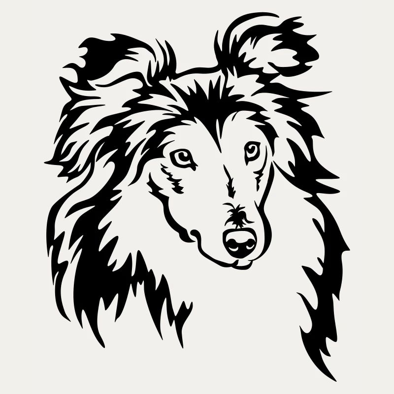 Tête de Sheltie