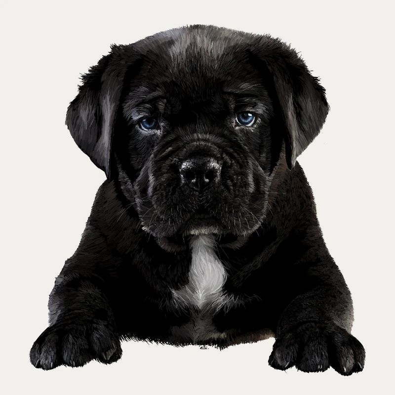 Cucciolo