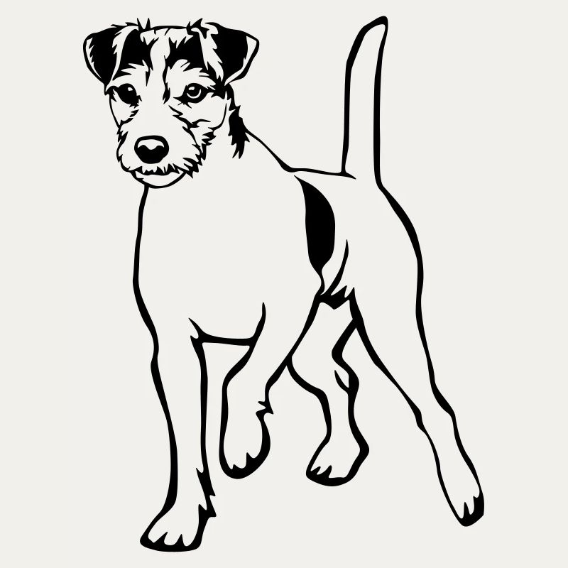 Parson Russell Terrier