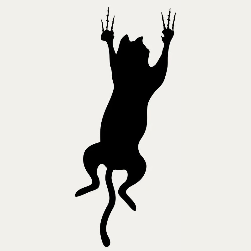 cat scratch