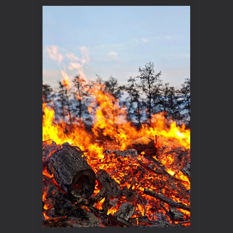 Affiche avec motif de feu de Pâques de Flame Inferno