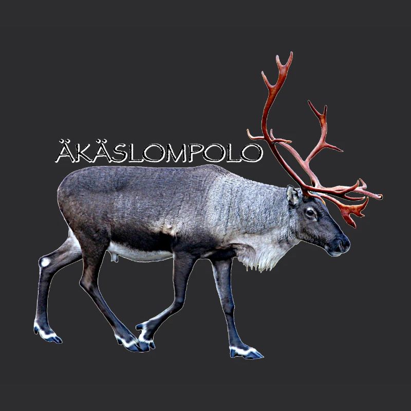 AKASLOMPOLO
